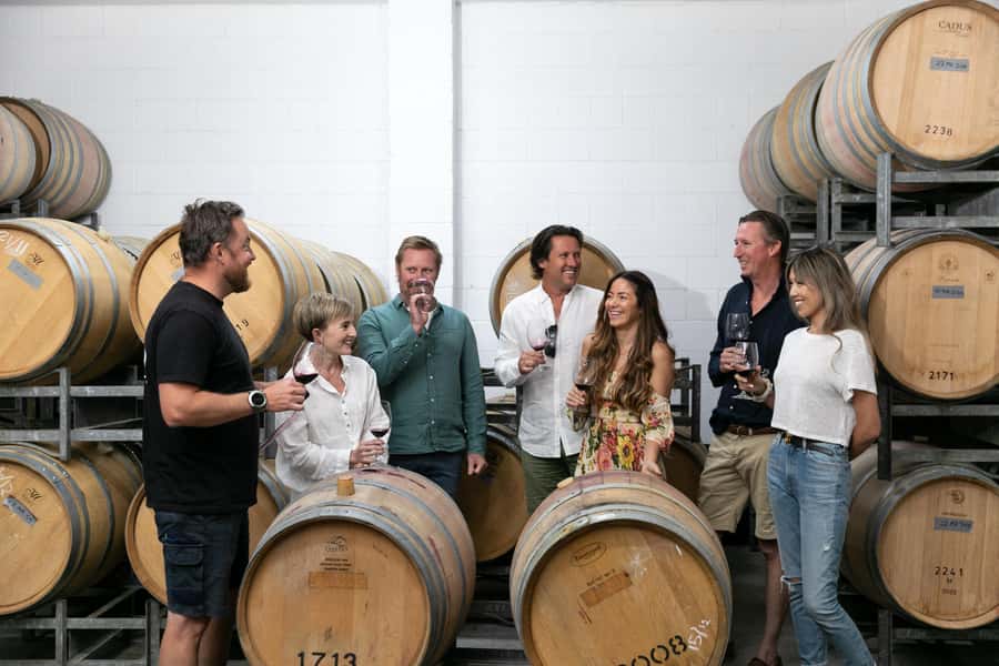 Hunter Valley: Wine Tour with 2-Course Lunch, Choc & Cheese - Mount Pleasant connects old vines with Australian wine history