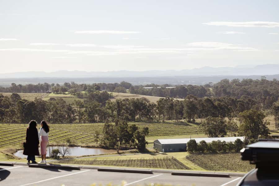 Hunter Valley: Wine Tour with 2-Course Lunch, Choc & Cheese - Is $155 good value?