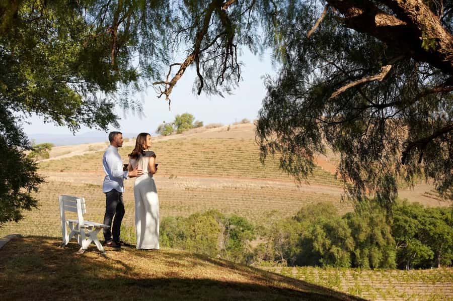 Hunter Valley: Wine Tour with 3 Tastings and Garden Lunch - Cypress Lakes lunch and time around Hunter Valley Village