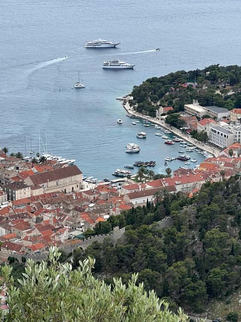 Hvar: Hvar Wine Tasting Experience - Who should book this Hvar wine outing?