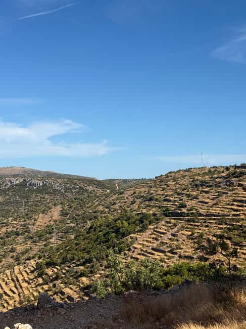 Hvar: Hvar Wine Tasting Experience - Viewpoints, lavender, and Hvar beyond the harbor