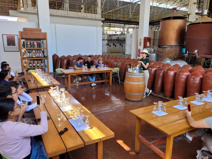 ICA: Pisco and Wine Route with tasting in 03 Wineries - Key things to know before booking