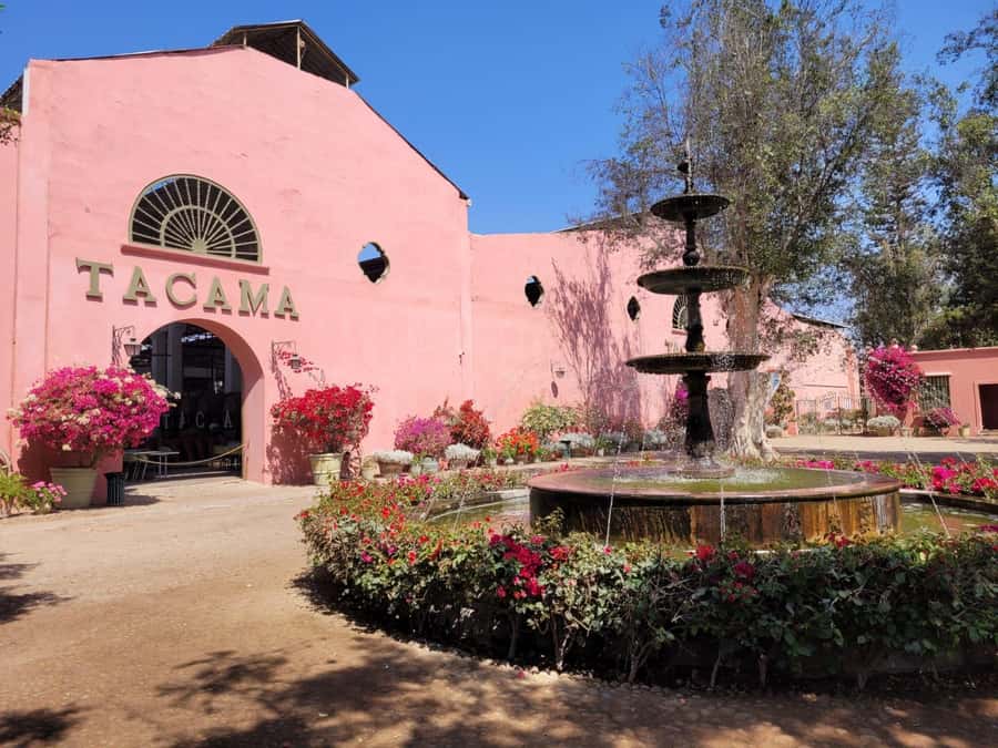 ICA: Pisco and Wine Route with tasting in 03 Wineries - What the Ica pisco route is really about