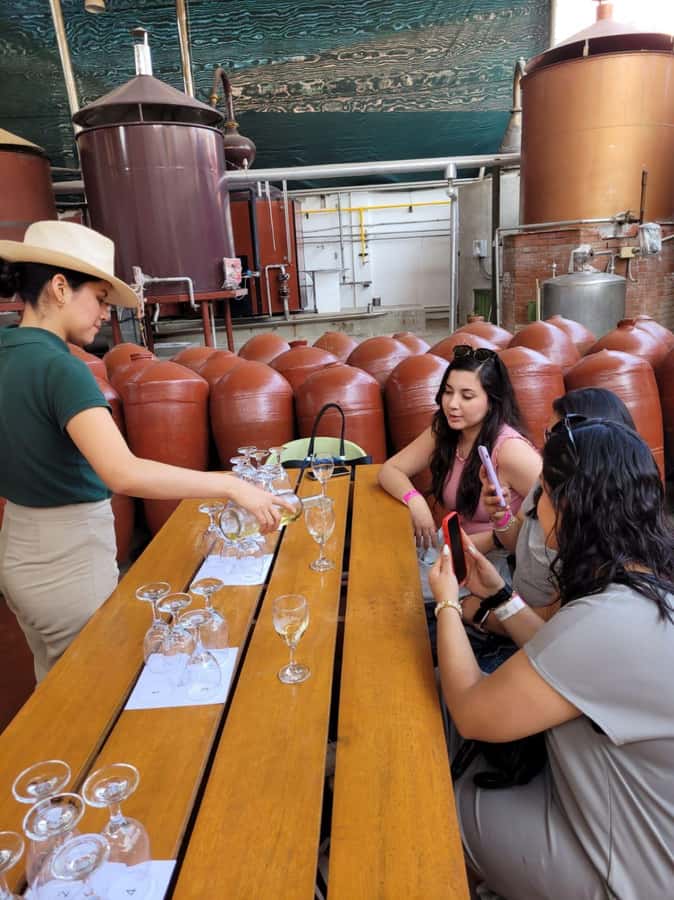 ICA: Pisco and Wine Route with tasting in 03 Wineries - Two tastings, two chances to compare