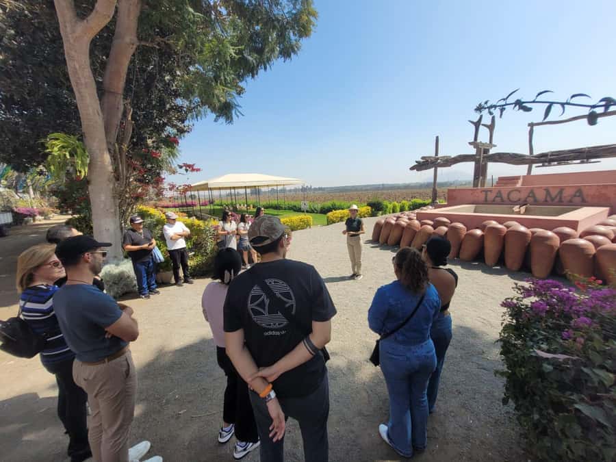 ICA: Pisco and Wine Route with tasting in 03 Wineries - Who should book this experience?