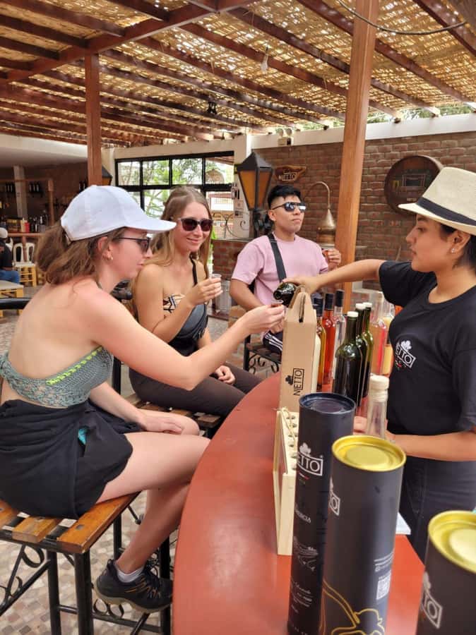 ICA: Pisco and Wine Route with tasting in 03 Wineries - My verdict on the Ica pisco and wine route
