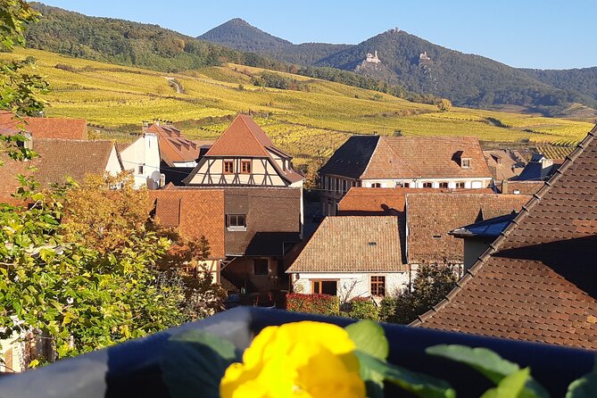 ICONICS Tour: 1/2 day on the Wine Route, visit of 2 Villages + Tasting. - Why this half-day outing works so well