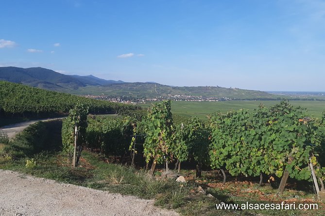 ICONICS Tour: 1/2 day on the Wine Route, visit of 2 Villages + Tasting. - Hunawihr: a short first look at village Alsace
