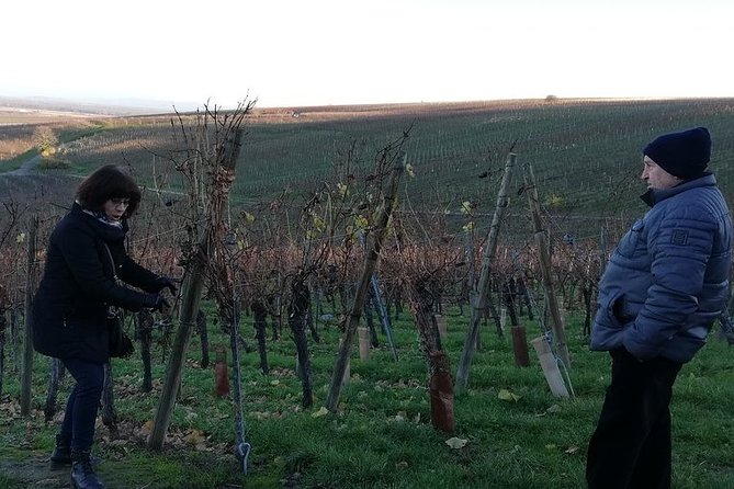 ICONICS Tour: 1/2 day on the Wine Route, visit of 2 Villages + Tasting. - Riquewihr: the main village visit