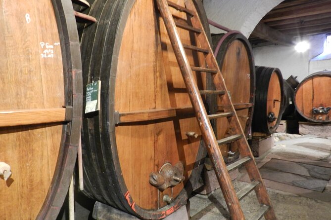 ICONICS Tour: 1/2 day on the Wine Route, visit of 2 Villages + Tasting. - The Alsace Wine Route and a family cellar