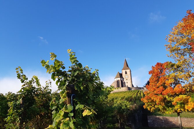 ICONICS Tour: 1/2 day on the Wine Route, visit of 2 Villages + Tasting. - Is $114.93 good value?