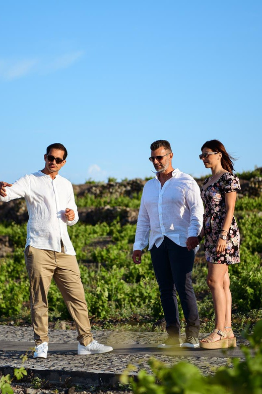 Imerovigli: Premium Wine Tasting with Caldera and Sea Views - The bistro setting and the view