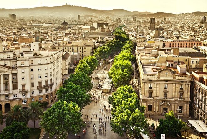 Interactive Paella & Market: Bottomless Wine & Rambla Views - Key details at a glance