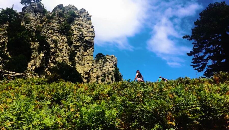 Jeep Safari in Thassos Mountain with picnic fruits & wine - Why this Thassos safari is worth your day