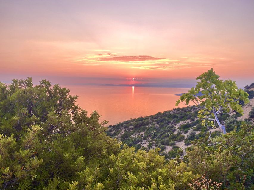 Jeep Safari in Thassos Mountain with picnic fruits & wine - Picnic lunch at the 900-meter shelter