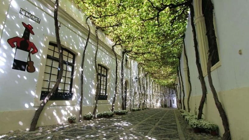Jerez: 1.5-Hour Sherry Winery and Tasting Tour - Walking through a famous sherry bodega