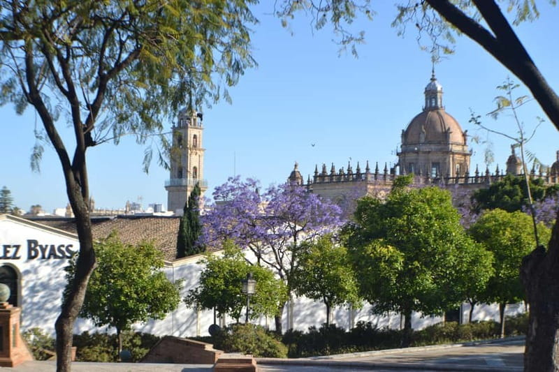 Jerez: 1.5-Hour Sherry Winery and Tasting Tour - Is $39 a fair price?