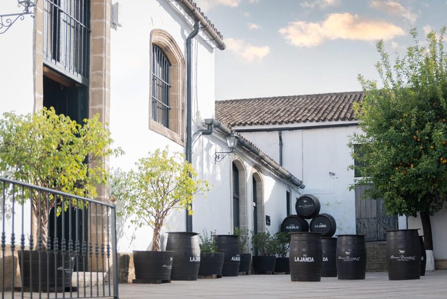Jerez: Bodegas Álvaro Domecq Guided Tour with Wine Tasting - Key points at a glance