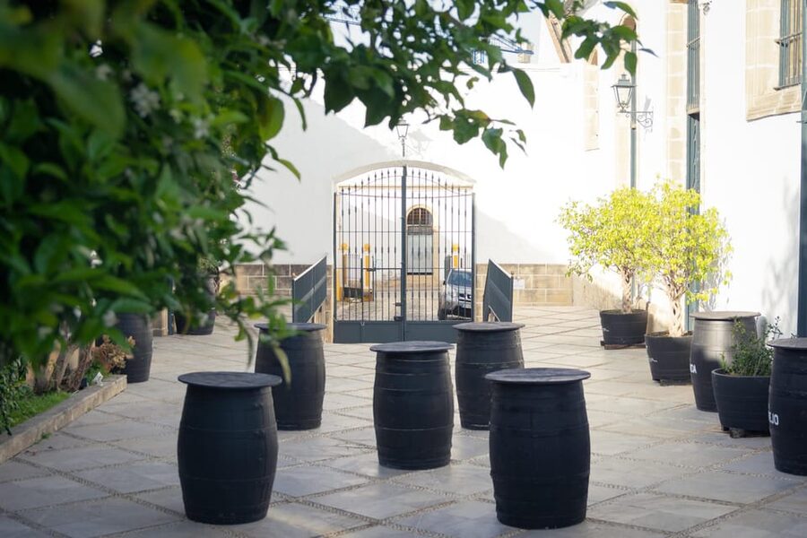 Jerez: Bodegas Álvaro Domecq Guided Tour with Wine Tasting - Entering an 18th-century wine house