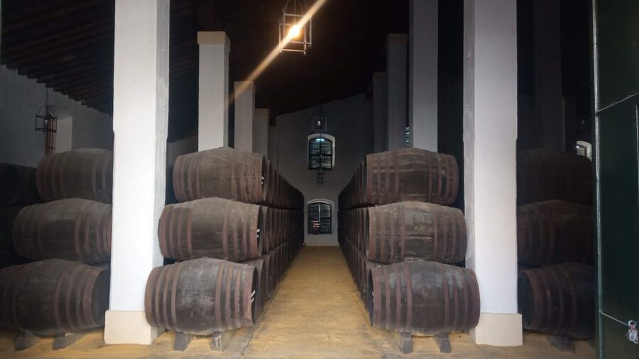 Jerez de la Frontera: Sherry Winery Tour with Tasting - Key Points Before You Book