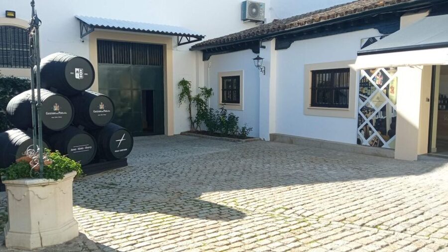 Jerez de la Frontera: Sherry Winery Tour with Tasting - How the Group Size Changes the Visit