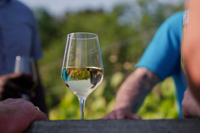 Jersey Premium Vineyard and Distillery Wine Tour and Tasting - Key Points Before You Book