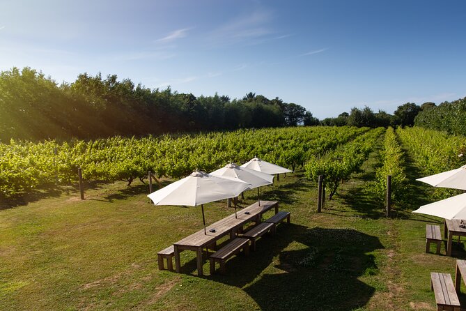 Jersey Premium Vineyard and Distillery Wine Tour and Tasting - Is $32.98 Good Value?