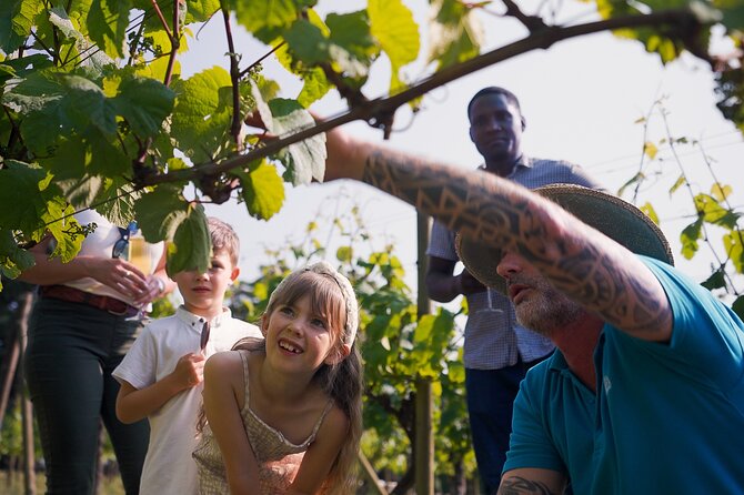 Jersey Premium Vineyard and Distillery Wine Tour and Tasting - Who Will Enjoy This Jersey Experience?