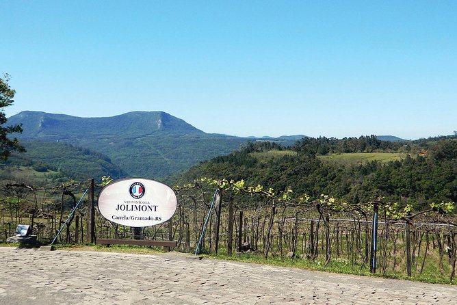 Jolimont Winery Tour - Visitation and Tasting - Canela RS - Accessibility and booking details to keep in mind