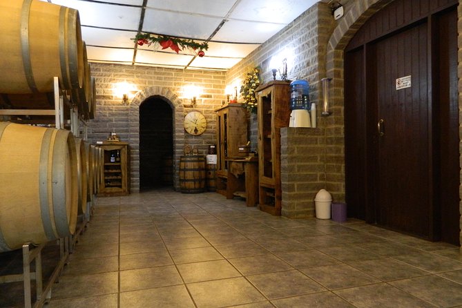 Jolimont Winery Tour - Visitation and Tasting - Canela RS - The vineyard views are part of the experience