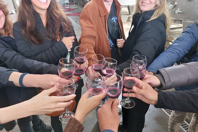 Kakheti Wine Region: Signagi and Bodbe Tour with 10 Wine Tastings - The guides make the group experience