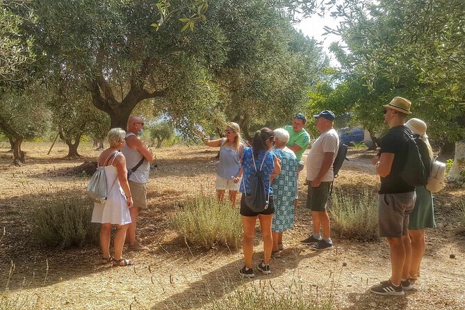 Kefalonia: Private Olive Oil, Honey & Wine Tasting Experience - Who should book this experience