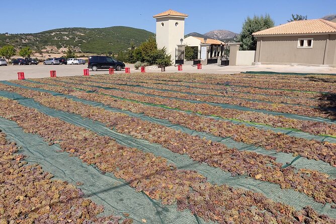 Kefalonia: Private Olive Oil, Honey & Wine Tasting Experience - Booking advice and cancellation details