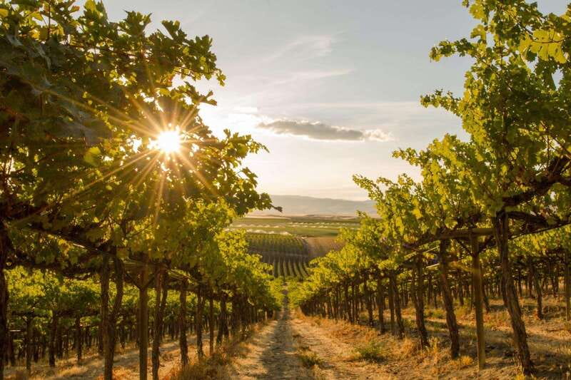 Kelowna: Sunset Sip Wine Tour - What the $116 price really includes