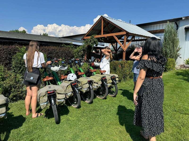 Kelowna: Wine Tasting by E-bike, Smartphone Guide & Lunch - Meadow Vista Honey Wines and the included lunch