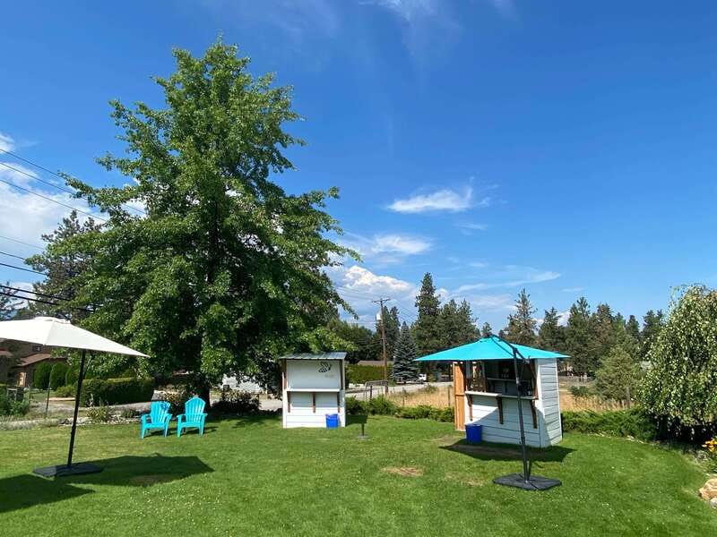 Kelowna: Wine Tasting by E-bike, Smartphone Guide & Lunch - Who will enjoy this most