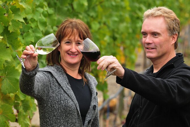 Kelowna Wine Tour by E-bike, Okanagan Valley Views and Lunch - Hidden Vines Family Estate Winery and its careful farming approach