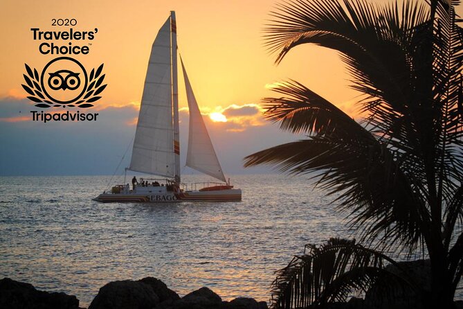 Key West Sunset Sail: Dolphin Watching, Wine, and Tapas - What the tapas and drinks are really like