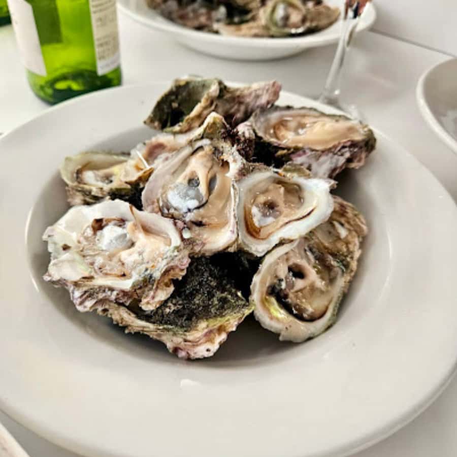 Knysna Lagoon: Boat Cruise with Oyster & White Wine Tasting - Key things to know before you book