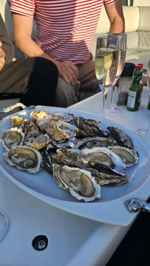 Knysna: Wine & Oyster Luxury Lounger Sunset Cruise - Why this Knysna sunset cruise works so well