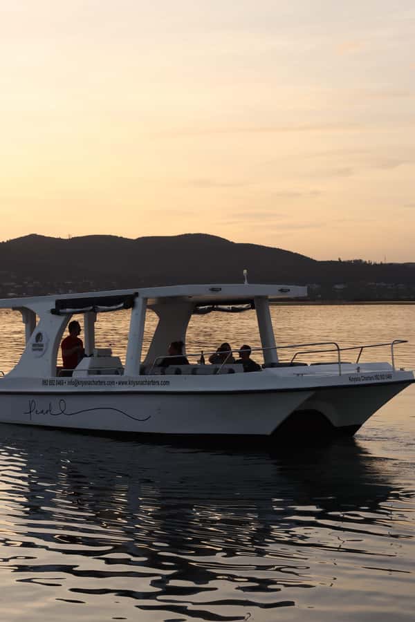 Knysna: Wine & Oyster Luxury Lounger Sunset Cruise - The luxury lounge cruiser and onboard comfort