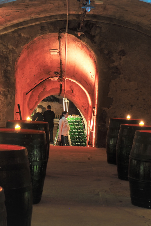 Koblenz: Historical Sparkling Wine Museum Guided Tour - Finishing with a glass of sparkling wine