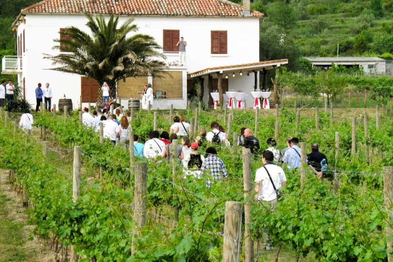 Konavle Valley: Tour with Wine Tasting from Dubrovnik - Why Konavle makes a good break from Dubrovnik