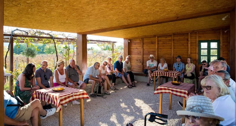 Konavle Valley: Tour with Wine Tasting from Dubrovnik - The 10-minute train through the vineyards