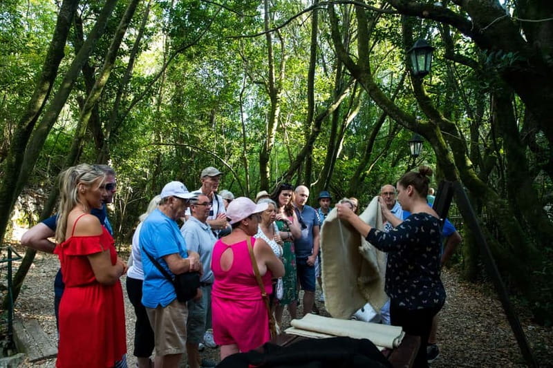 Konavle Valley: Tour with Wine Tasting from Dubrovnik - Ljuta and the old water-powered mill