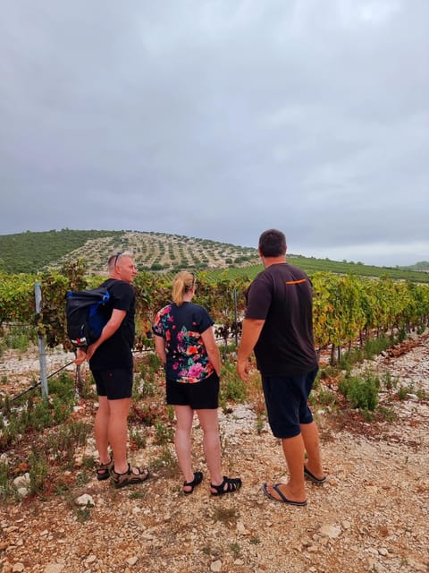 Korcula: Buggy Safari with Local Food and Wine Tasting - Lumbarda beach, swimming, and a slower hour