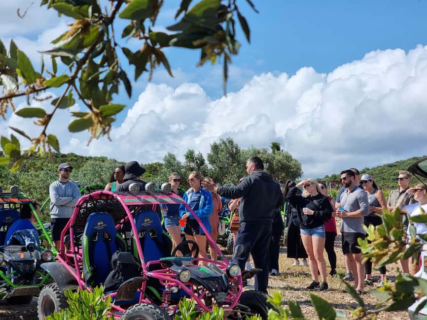 Korcula: Buggy Safari with Local Food and Wine Tasting - The hunting room and the family touch