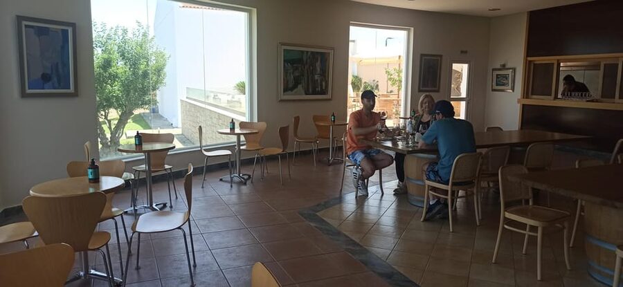 Kos: Wineries Tour w/ Wine Tastings & Transportation - The guides and the learning side