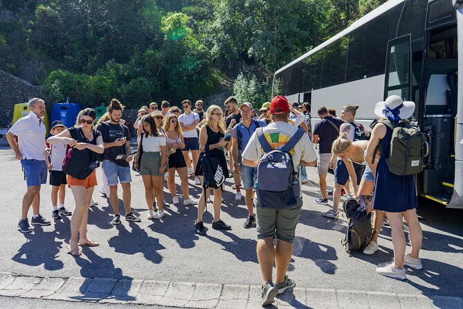 Krka Waterfalls Tour with Wine and Olive Oil Tasting - What the $29.96 price really covers
