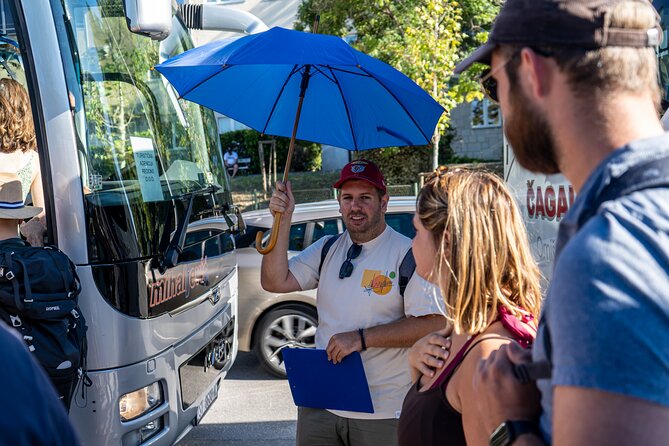 Krka Waterfalls Tour with Wine and Olive Oil Tasting - Who will enjoy this day most